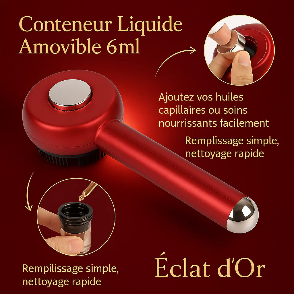 Peigne de Massage Électrique