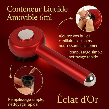 Peigne de Massage Électrique